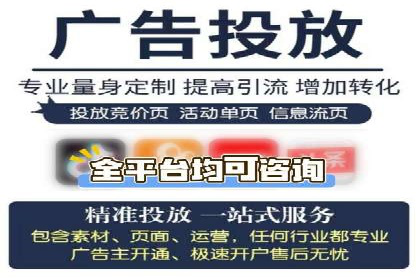 顶级SEM运营公司案例分析